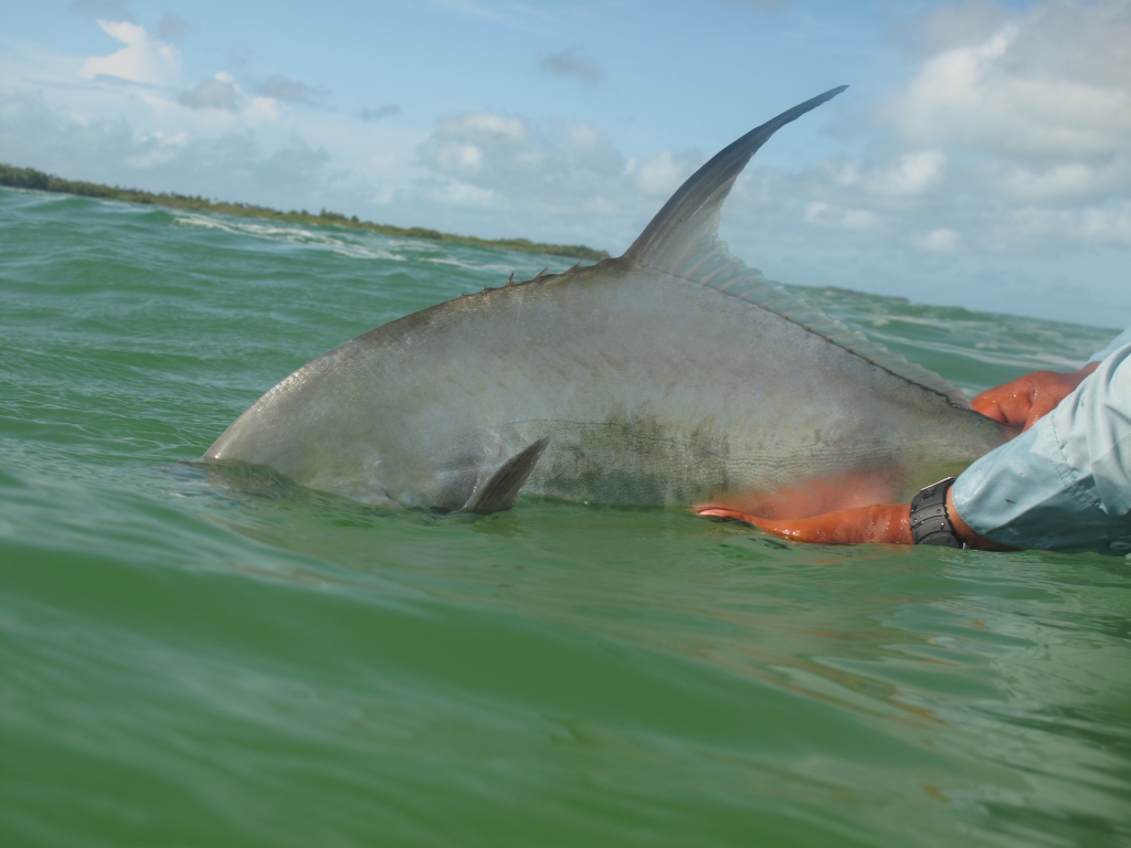 Pêche des GT à la mouche sur Christmas Island - Travelers and fish
